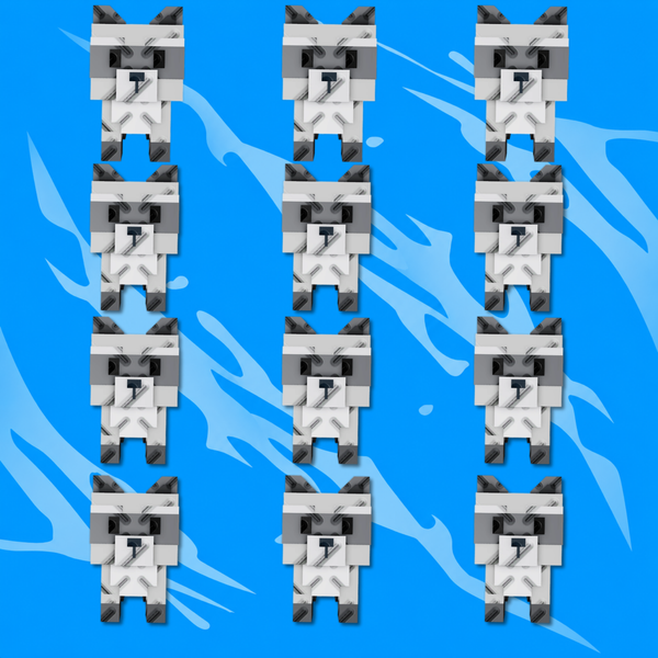12X Raccoon Bundle