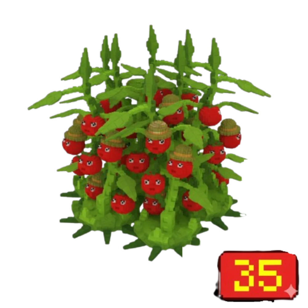 35X Tomatrio Bundle