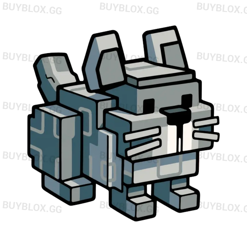 Chinchilla