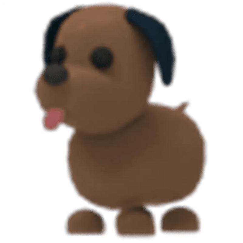 Chocolate Labrador