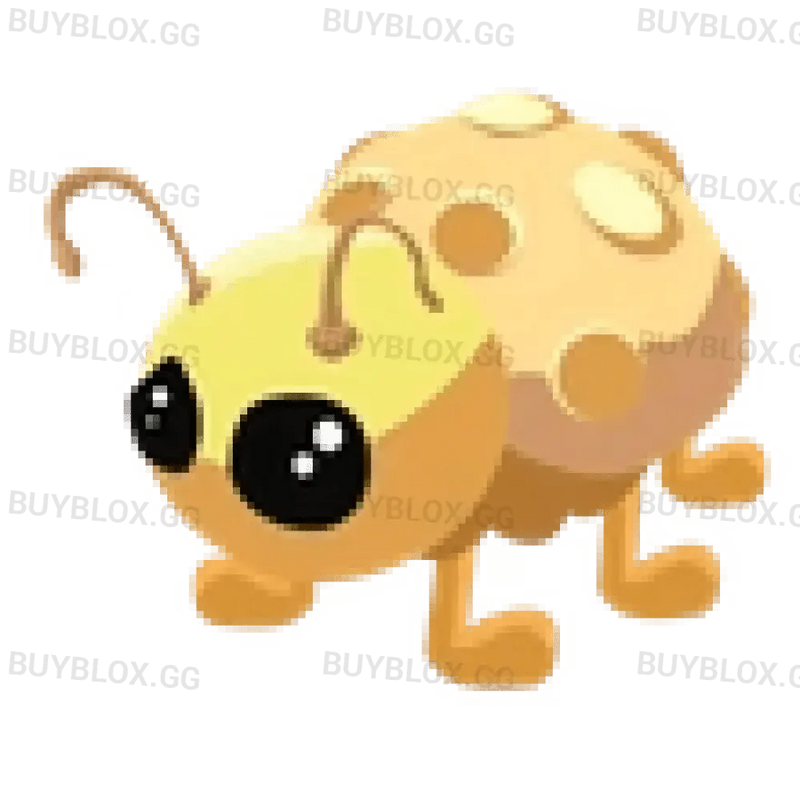 Golden Ladybug
