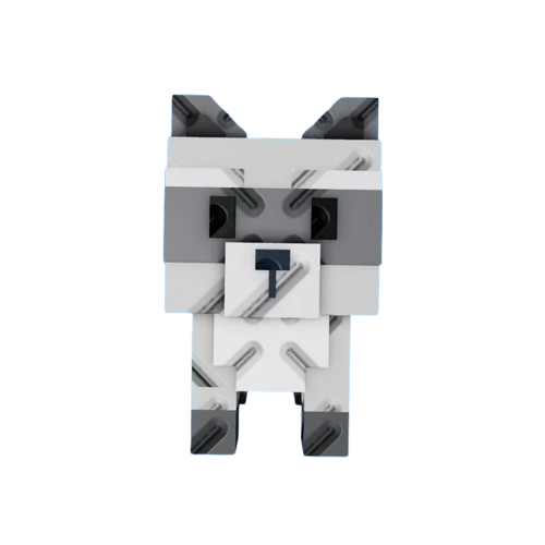 Raccoon