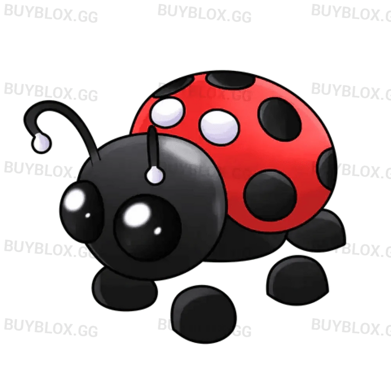 Ladybug