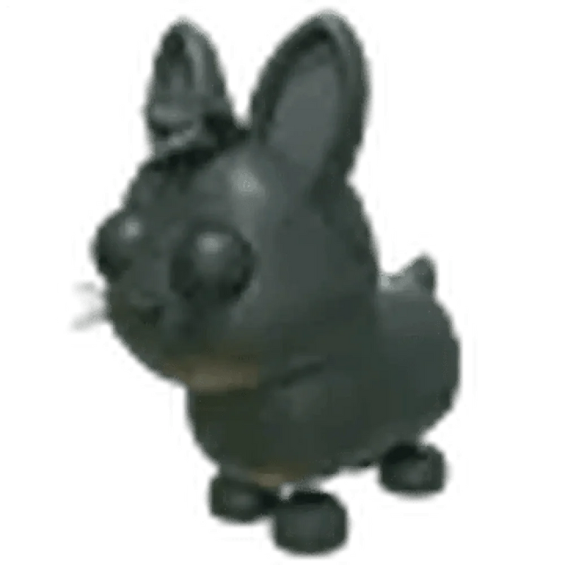 MFR Amami Rabbit