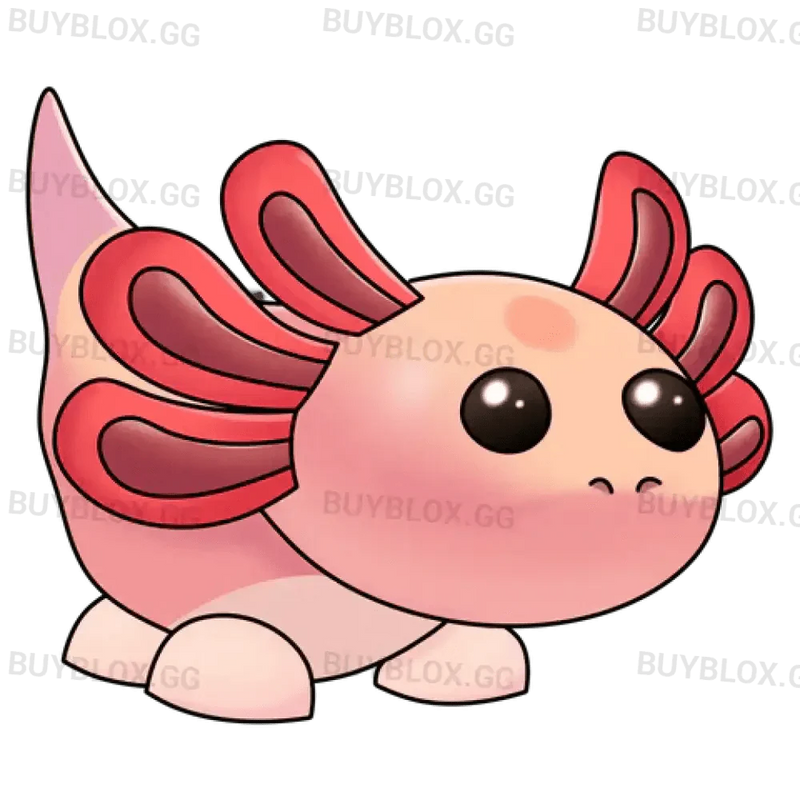 MFR Axolotl