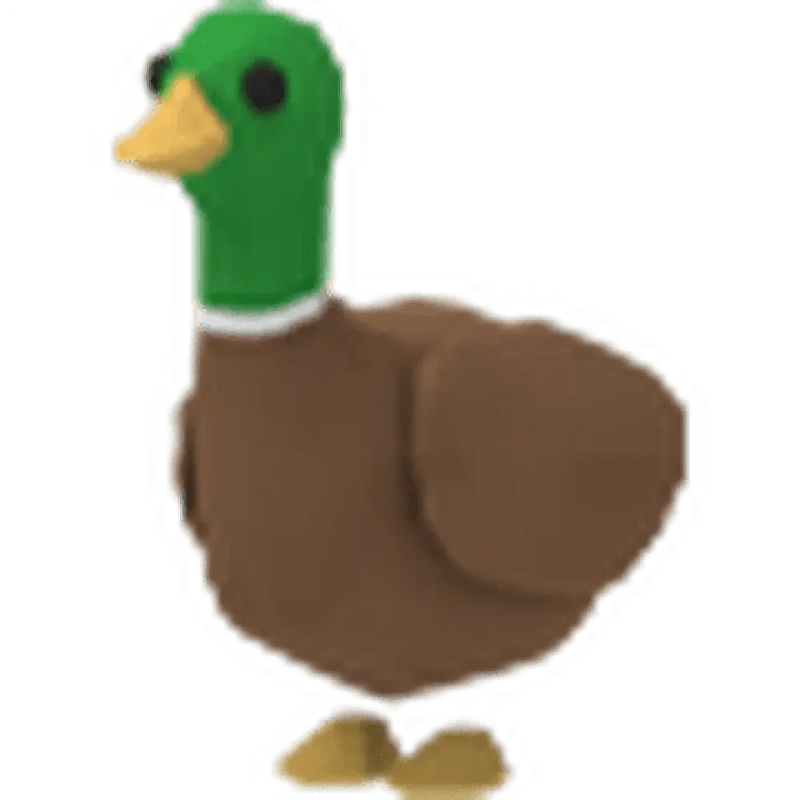 MFR Drake