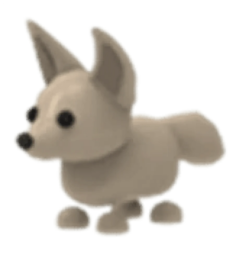 MFR Fennec Fox