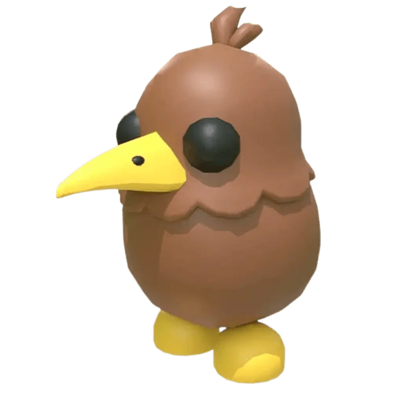 MFR Kiwi