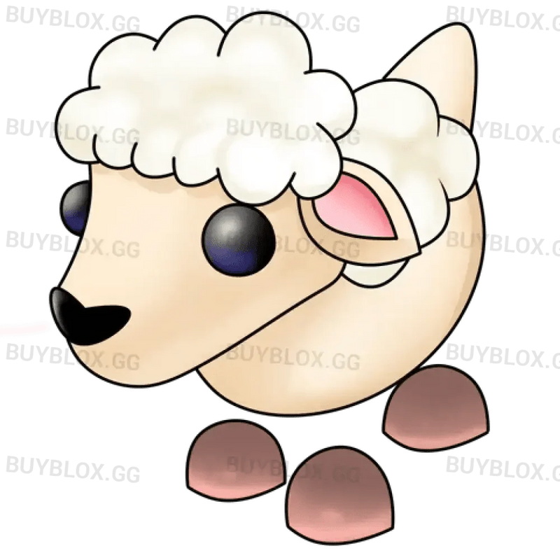 MFR Lamb