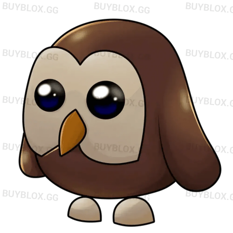 MFR Owl