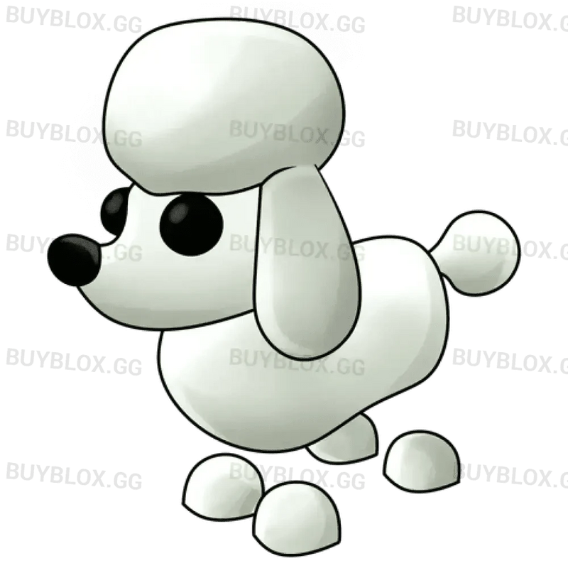 MFR Poodle