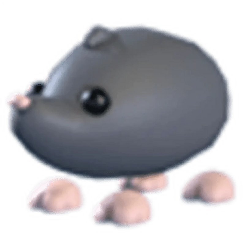 MFR Sado Mole