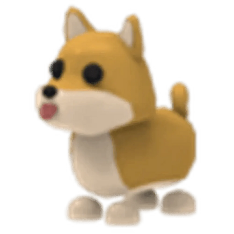 MFR Shiba Inu