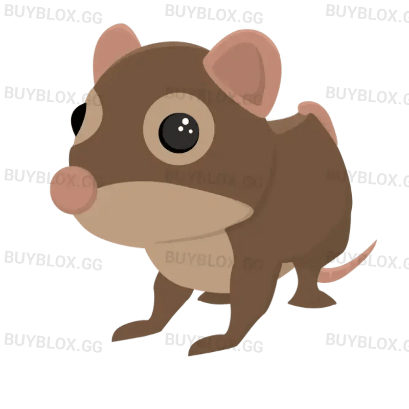 MFR Shrew