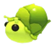 MFR Sprout Snail