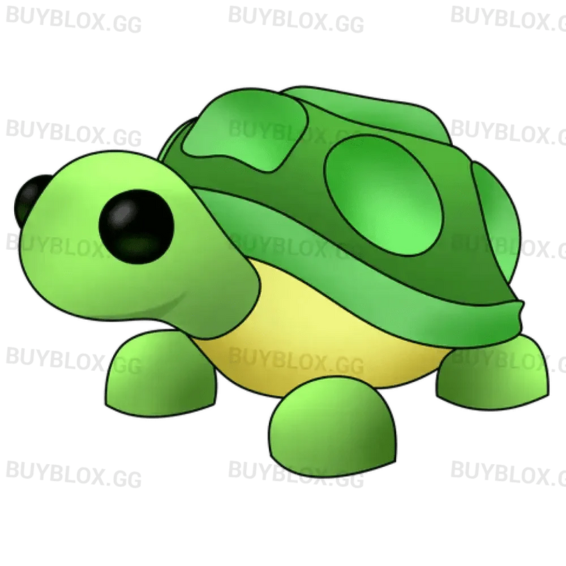 MFR Turtle