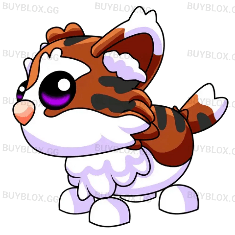 Munchkin Cat