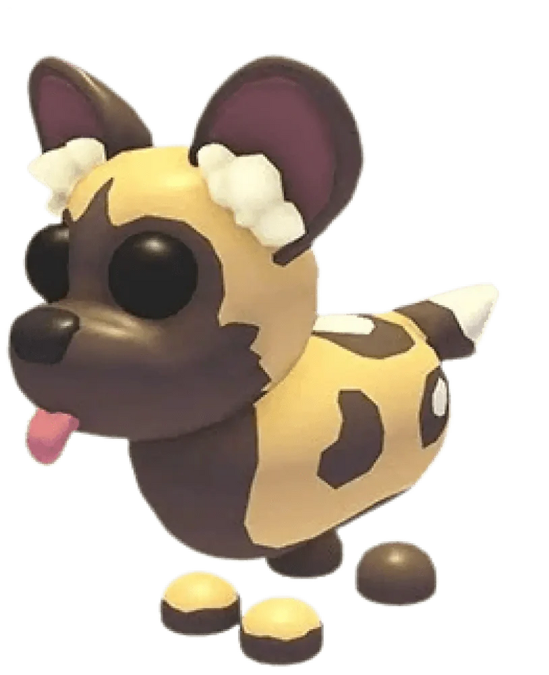 NFR African Wild Dog