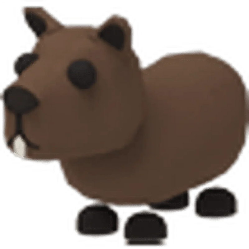 NFR Capybara