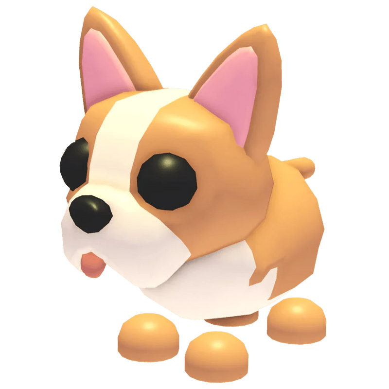 NFR French Bulldog