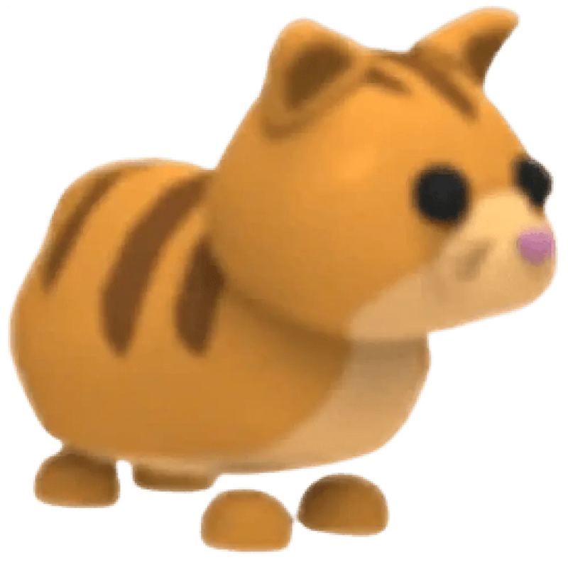 NFR Ginger Cat