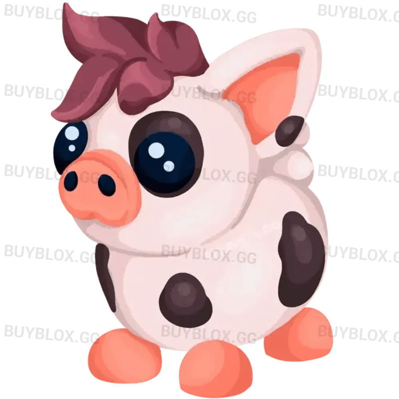 NFR Mini Pig