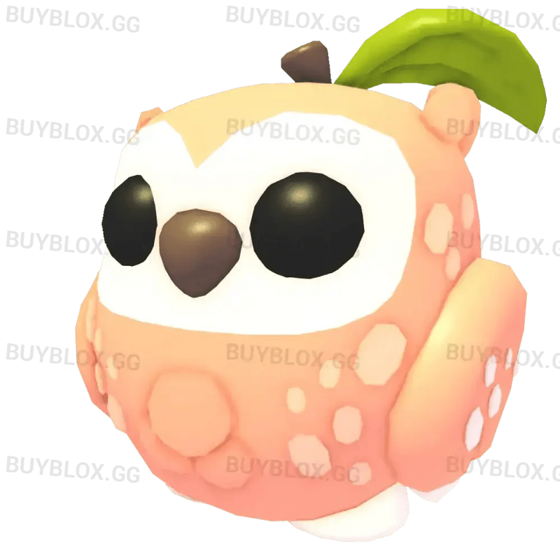 NFR Peach Owl