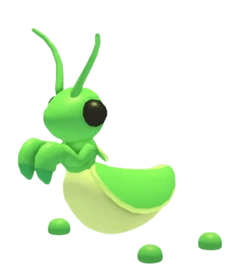 NFR Praying Mantis