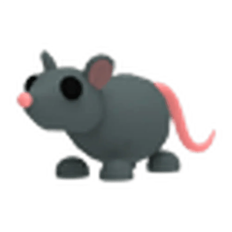 NFR Rat