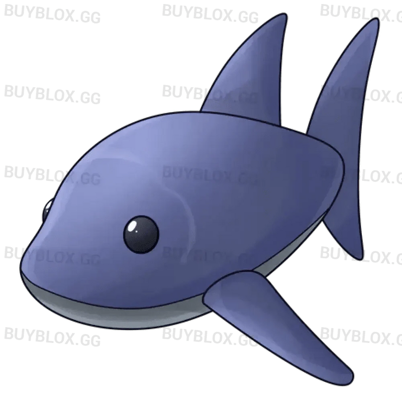 NFR Shark