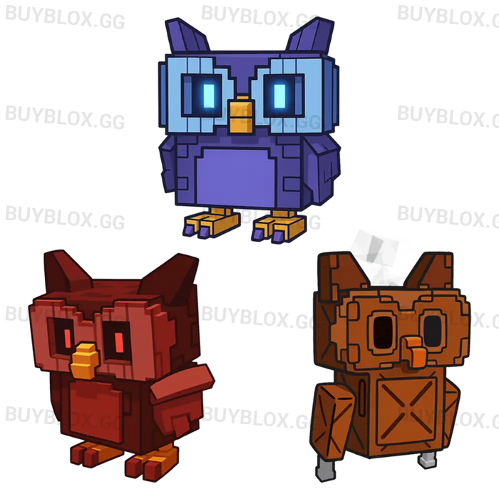 Owl Bundle