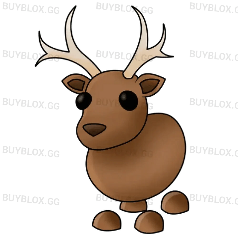 Reindeer