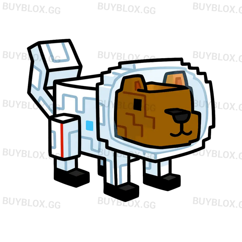 Space Squirrel