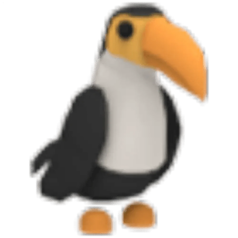 Toucan